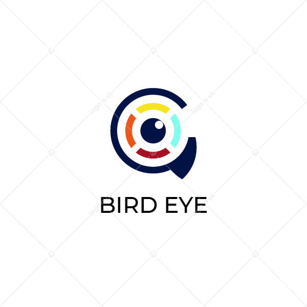 Bird Eye Logo